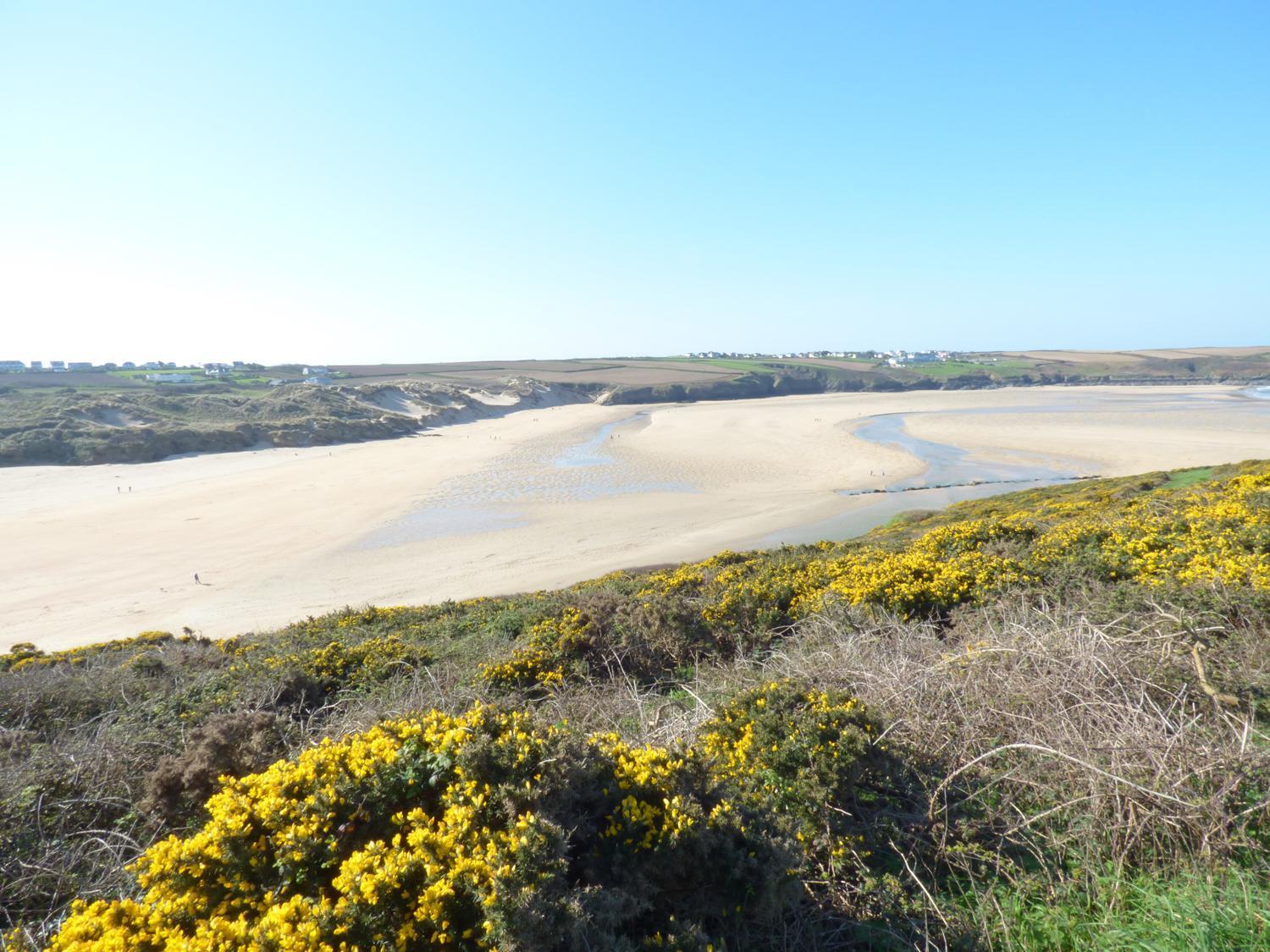 Fistral Breeze Villa New Quay Exteriör bild